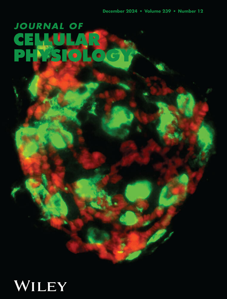 JCP Cover